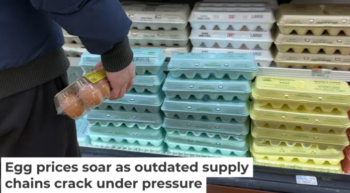 Experts predict that egg prices will keep climbing in 2025. Lindsey Nicholson/UCG/Universal Images Group via Getty Images
